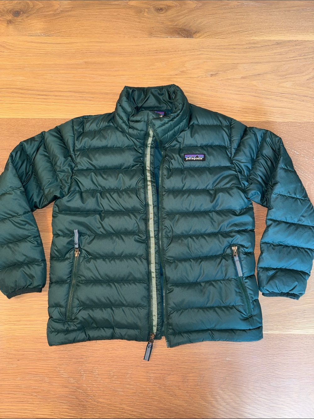 Patagonia Kids Green Quilted Down Puffer Jacket